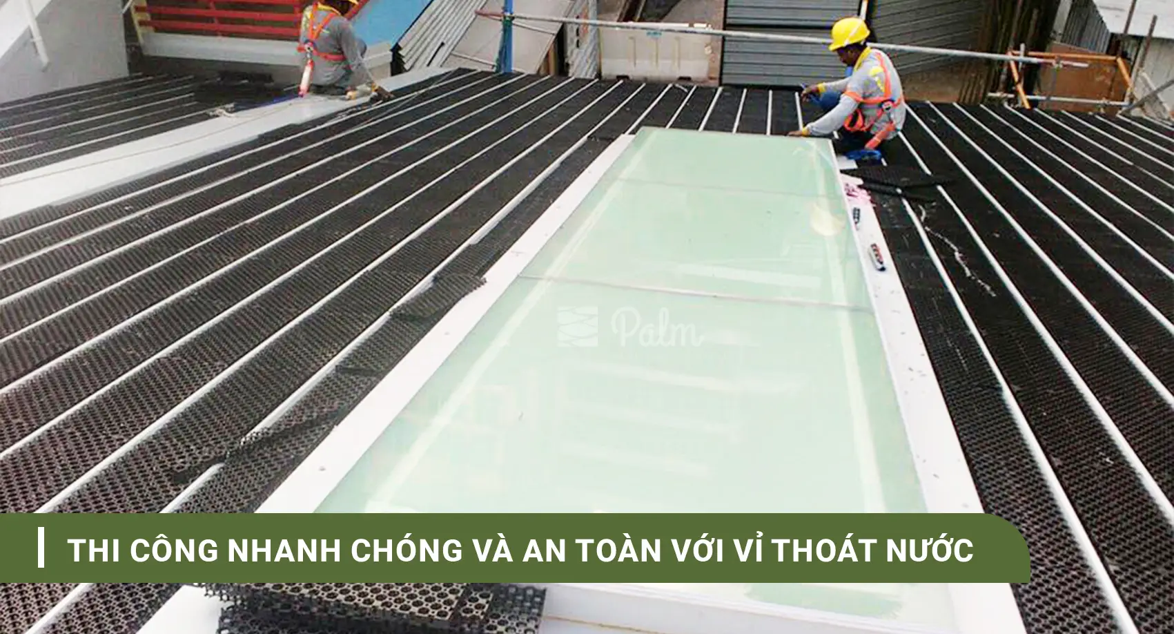 Vỉ thoát nước là gì? Phân loại và công dụng của Vỉ thoát nước